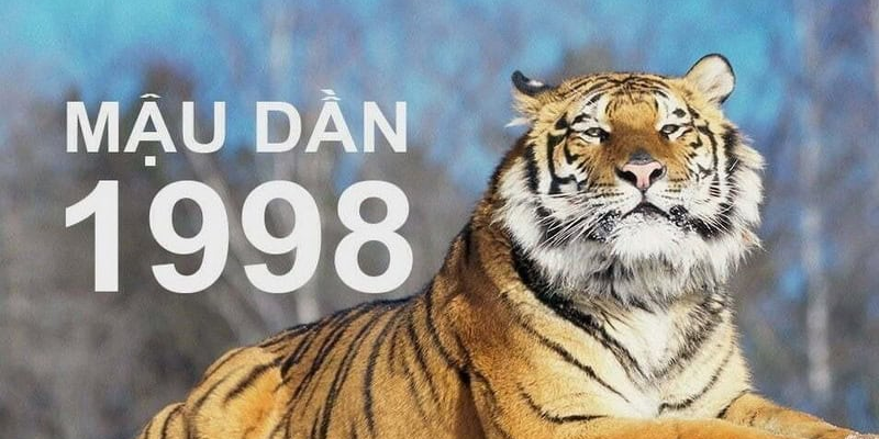 Những lưu ý phong thủy khi tuổi mậu dần xuất hành 2026