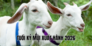 tuổi kỷ mùi xuất hành 2026