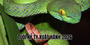 tuổi kỷ tỵ xuất hành 2026