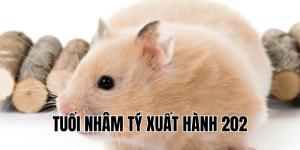 tuổi nhâm tý xuất hành 2026