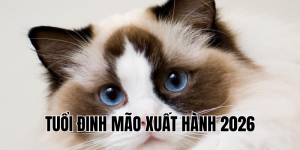 tuổi đinh mão xuất hành 2026