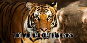 tuổi mậu dần xuất hành 2026