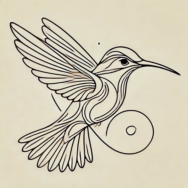 Beautiful Hummingbird Drawing 13