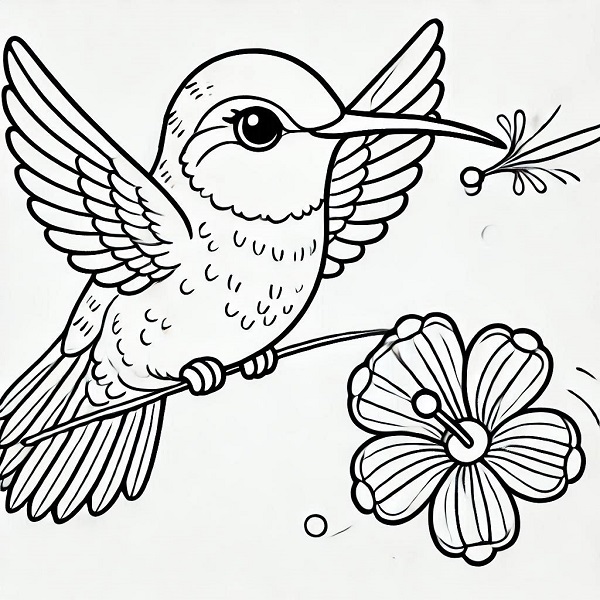 Cute Hummingbird Drawing 24