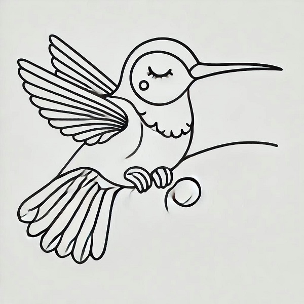 cute hummingbird drawing 13