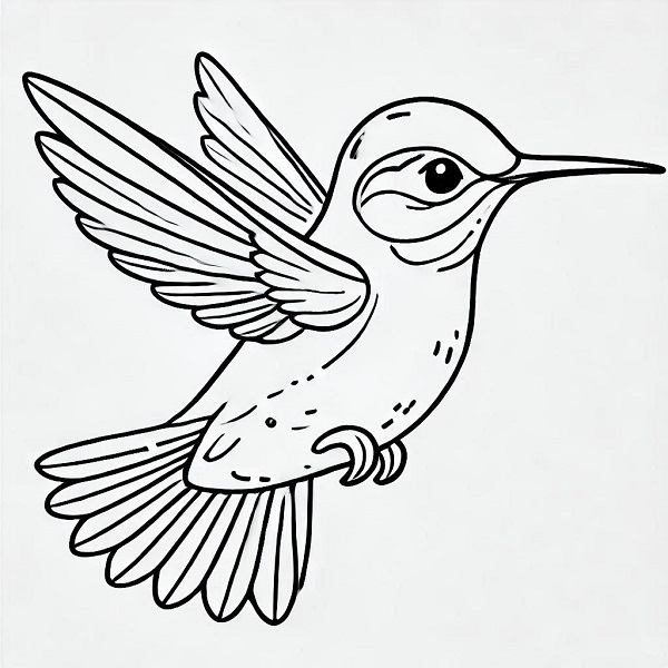 cute hummingbird drawing 14