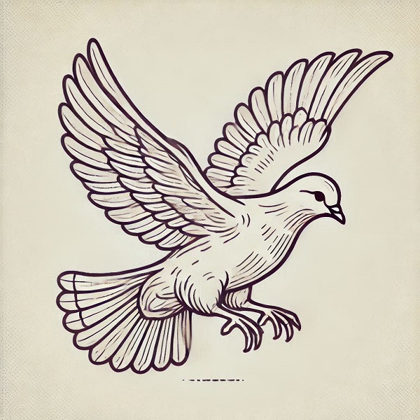 dove bird flying drawing 15