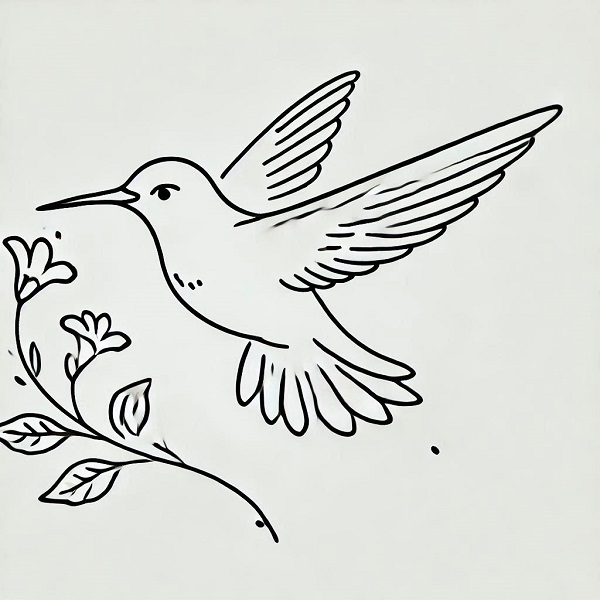 simple hummingbird drawing 20