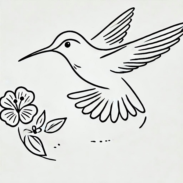 simple hummingbird drawing 26