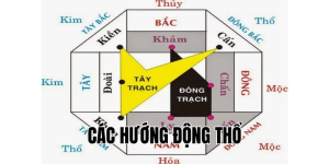 các hướng động thổ